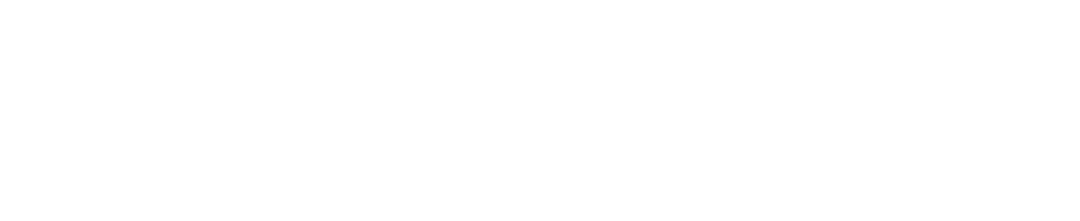 RealFlex Logo, exclusively by Hollman Media